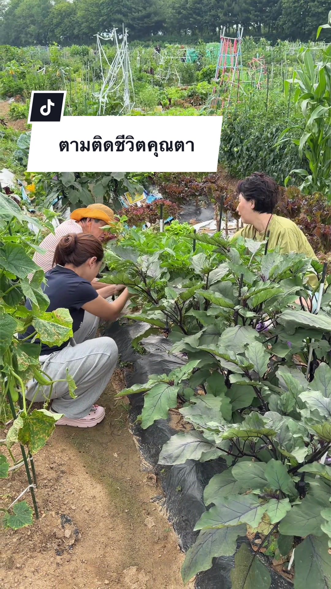 @น้องตี๋พี่โคโค่🐻🐱