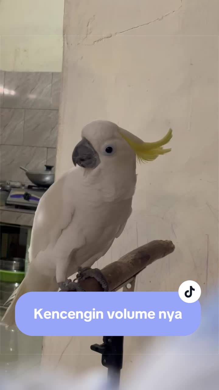 @bio_bege