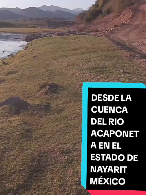 @Eliseo López