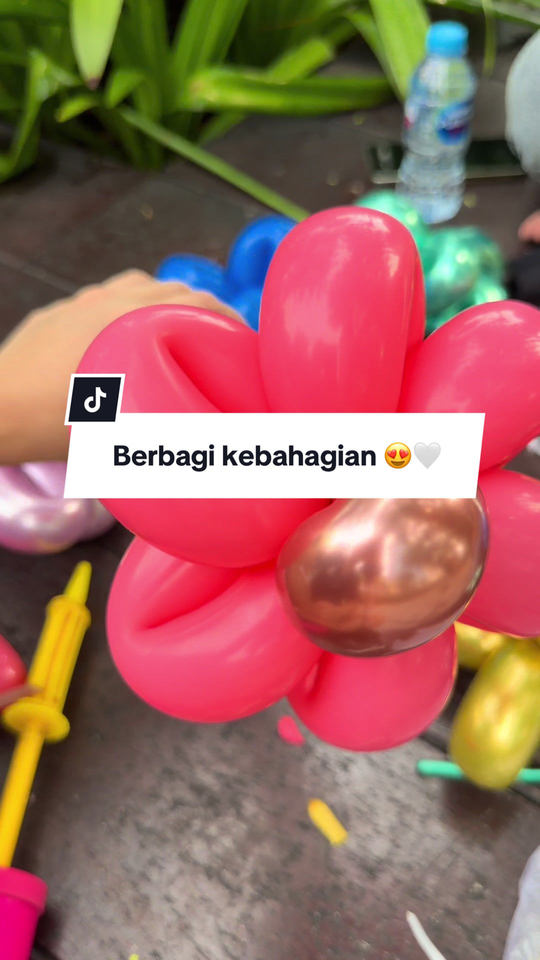 @Balonboxjakarta