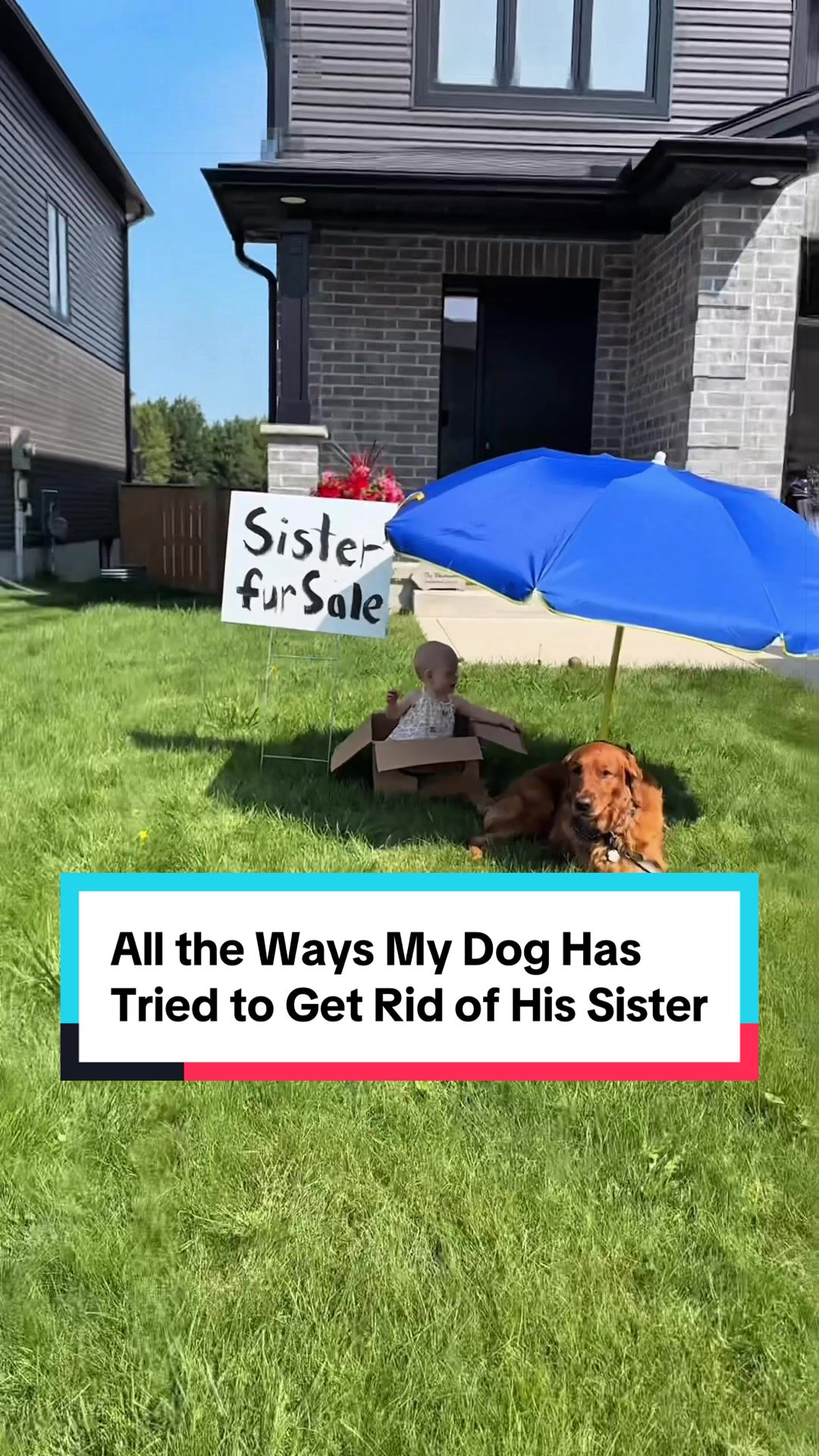 @Air Bud Kobe 🇨🇦