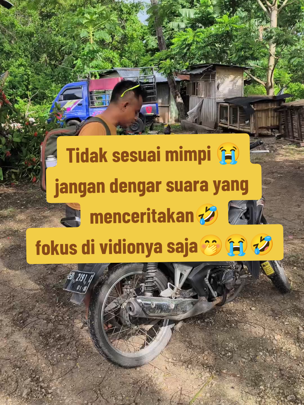 @Wonders Of sumba