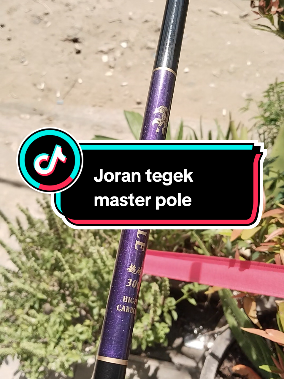 @Syamsul Ar