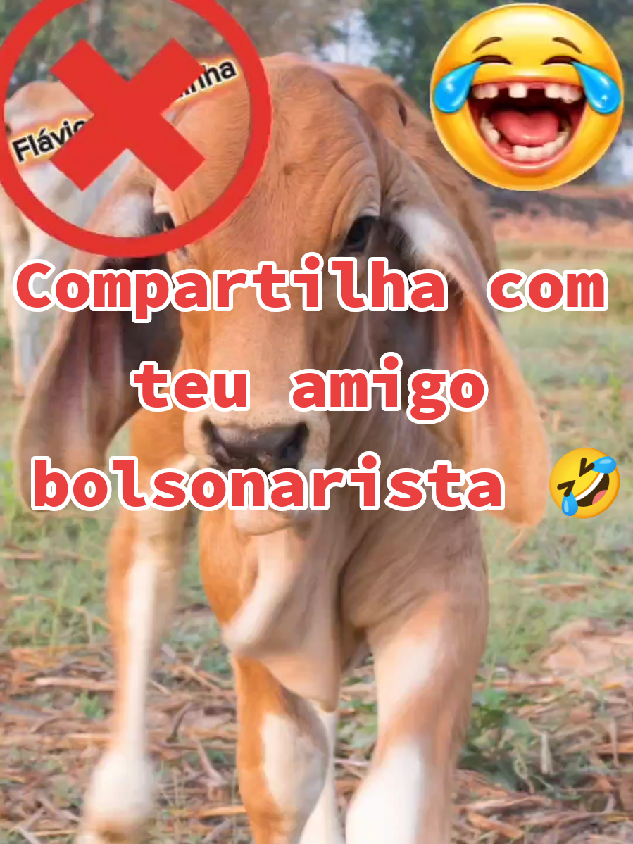 @BRASIL.FORTE