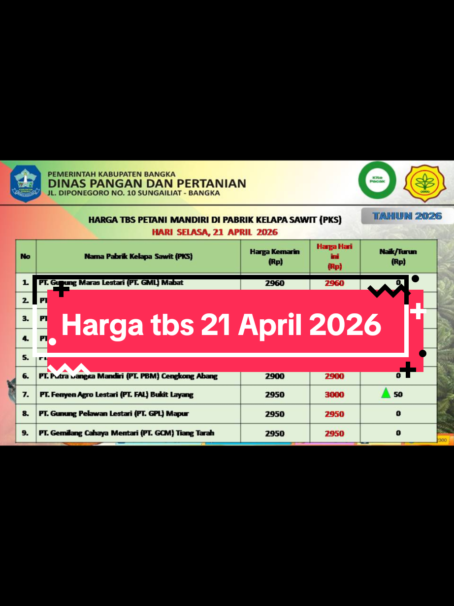 @IG Nusantara