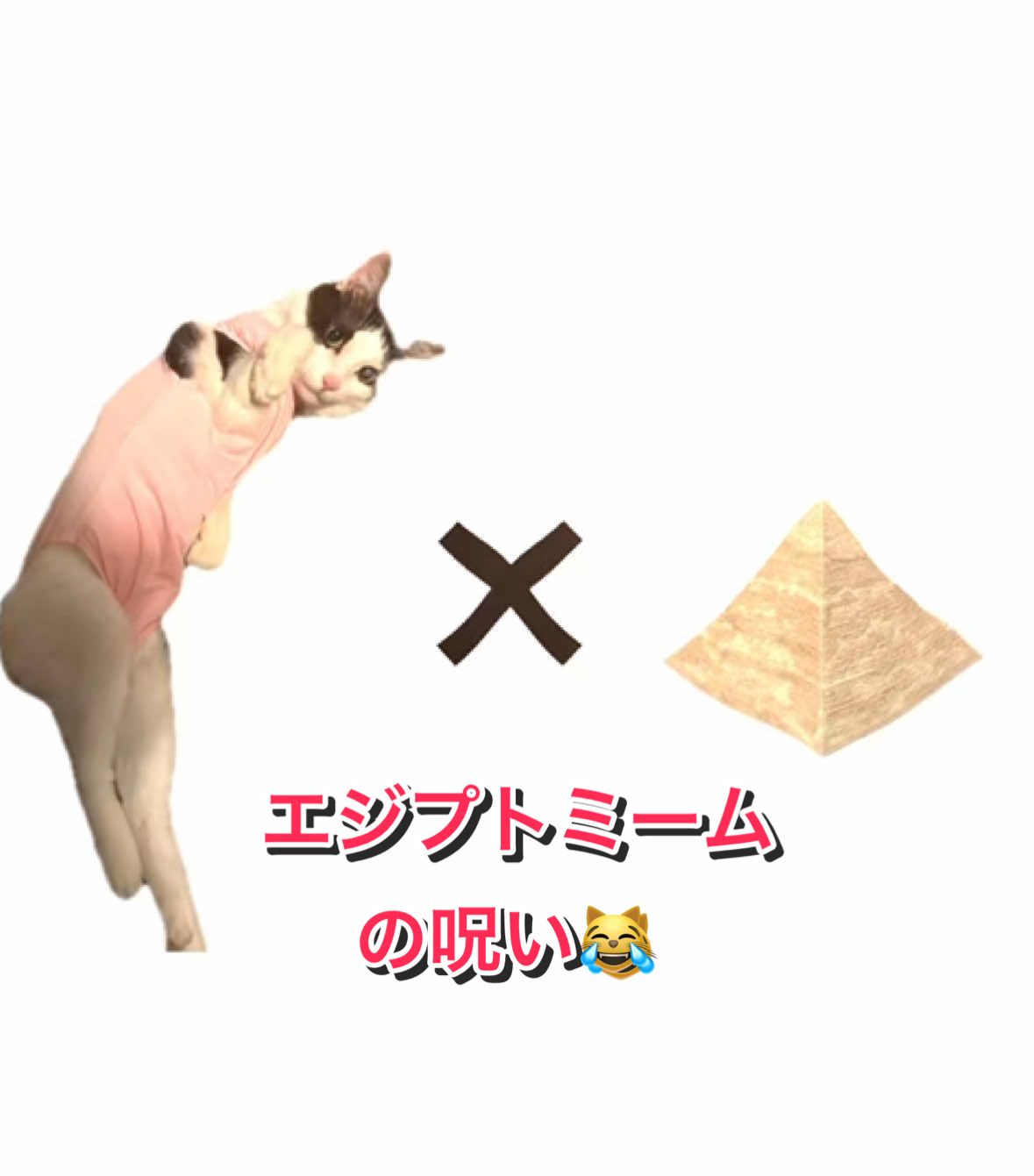 @陸丸 Rikumaru