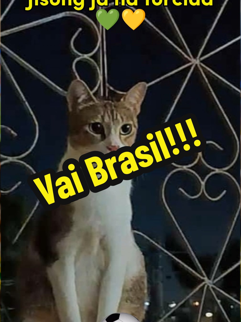 @Fabi_Patinadora