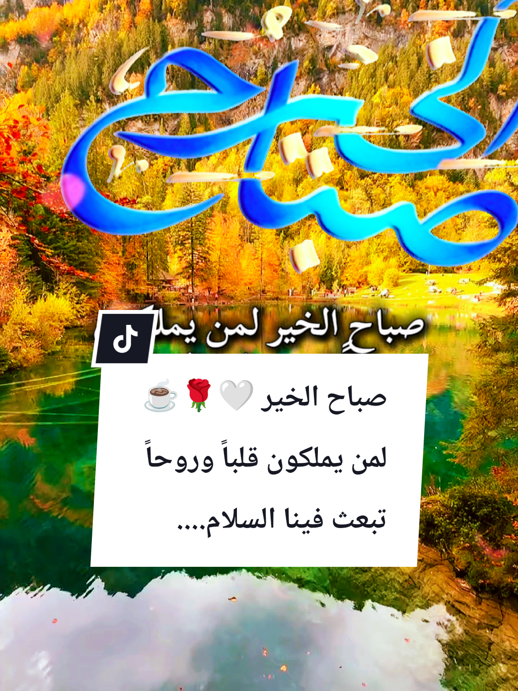 @🌟𝗦𝗼𝘂𝘇𝗮𝗻 𝗖𝗵𝗮𝗺𝘀