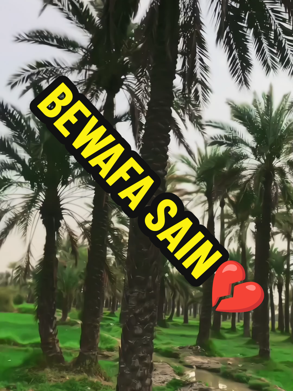 @RAJA SINDHI❤️