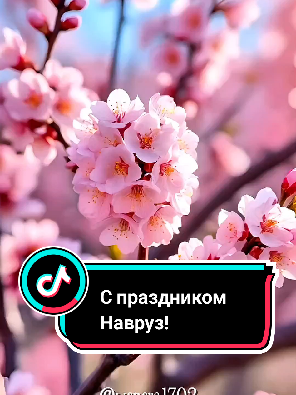 @Wenera
