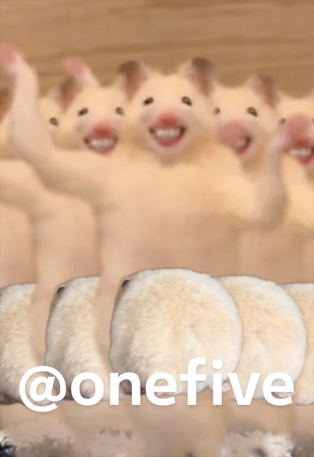 @FCham
