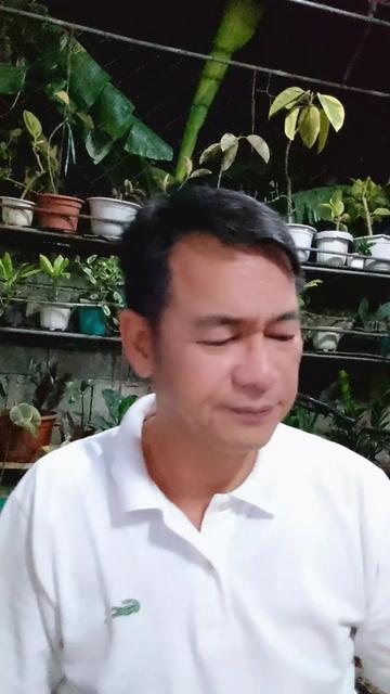 @Pido Dida
