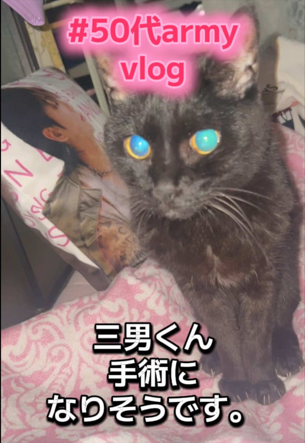 @biromi