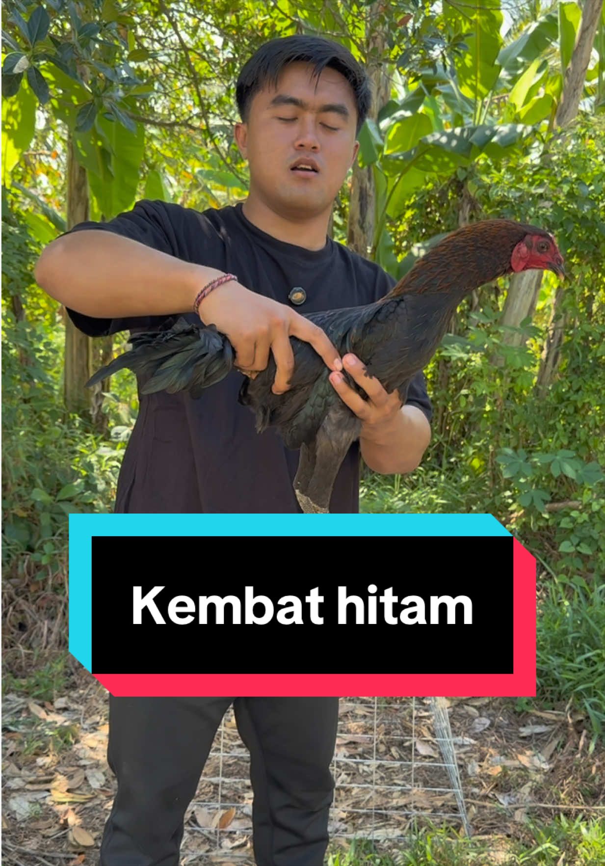 @Doni artawan