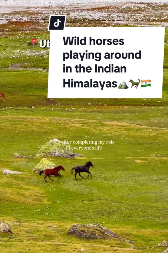 @The Indian