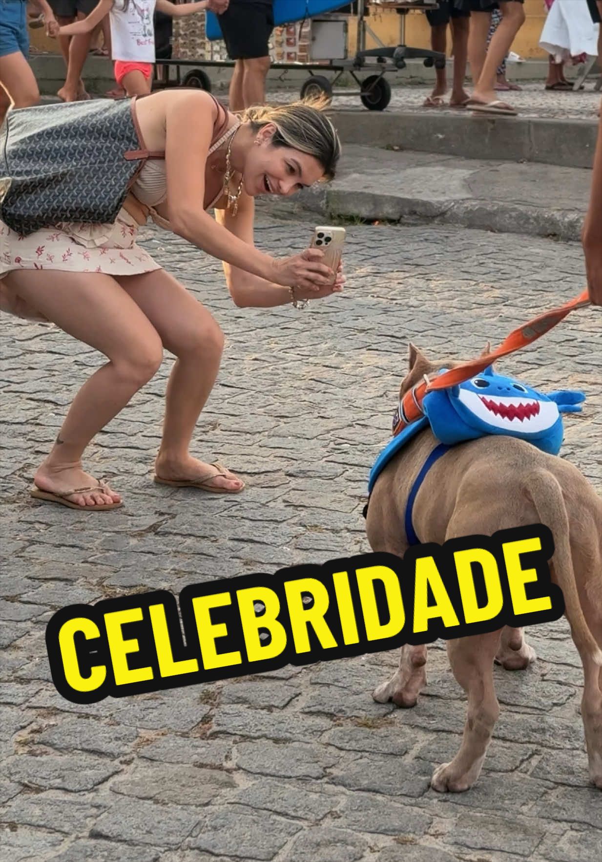 @Família Ragnar 🐶