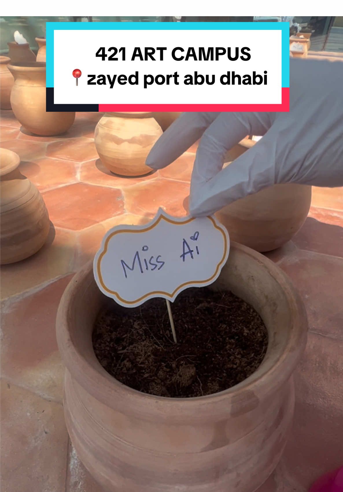 @Miss Ai