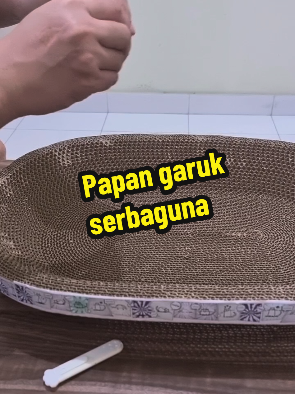 @Chiki and Chiko