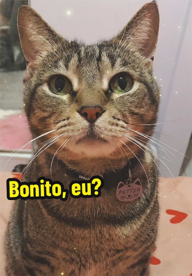 @𝒫𝑒𝓉𝓉𝑒𝓇 ♡