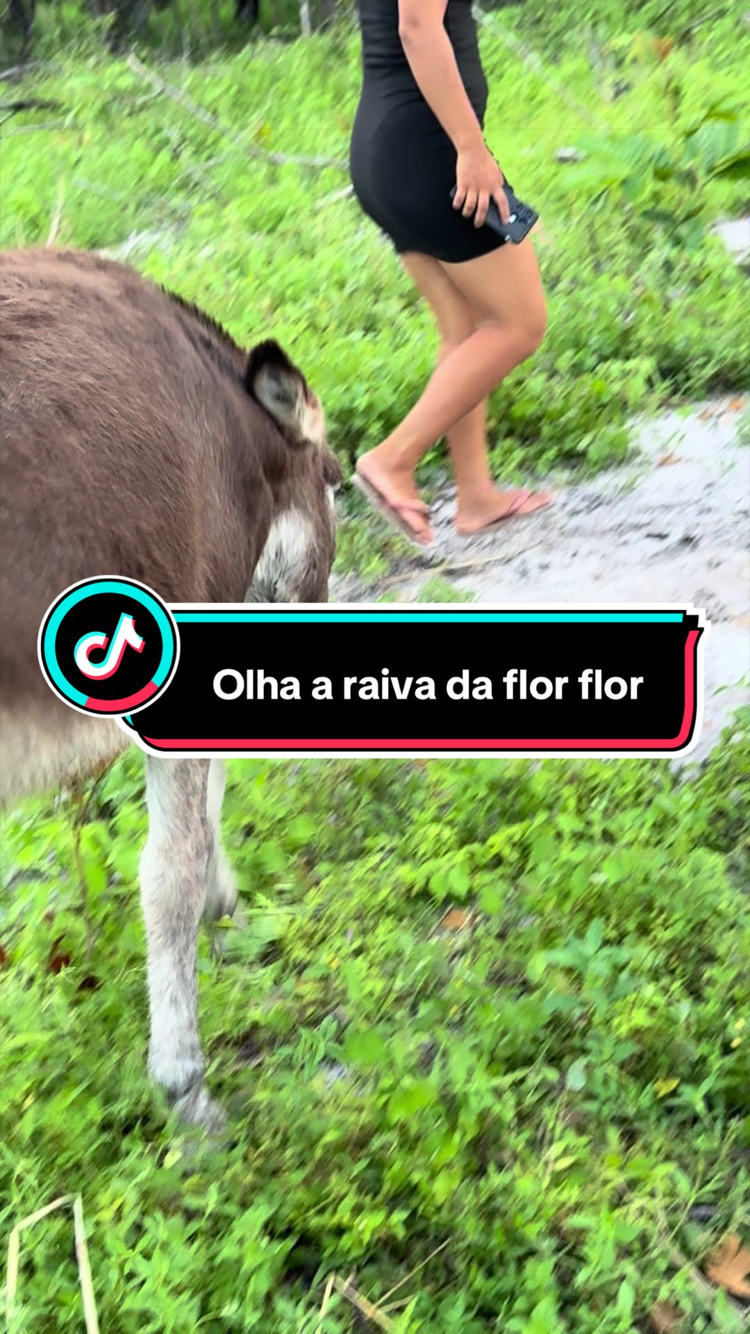 @Raimunda Mendes Sales