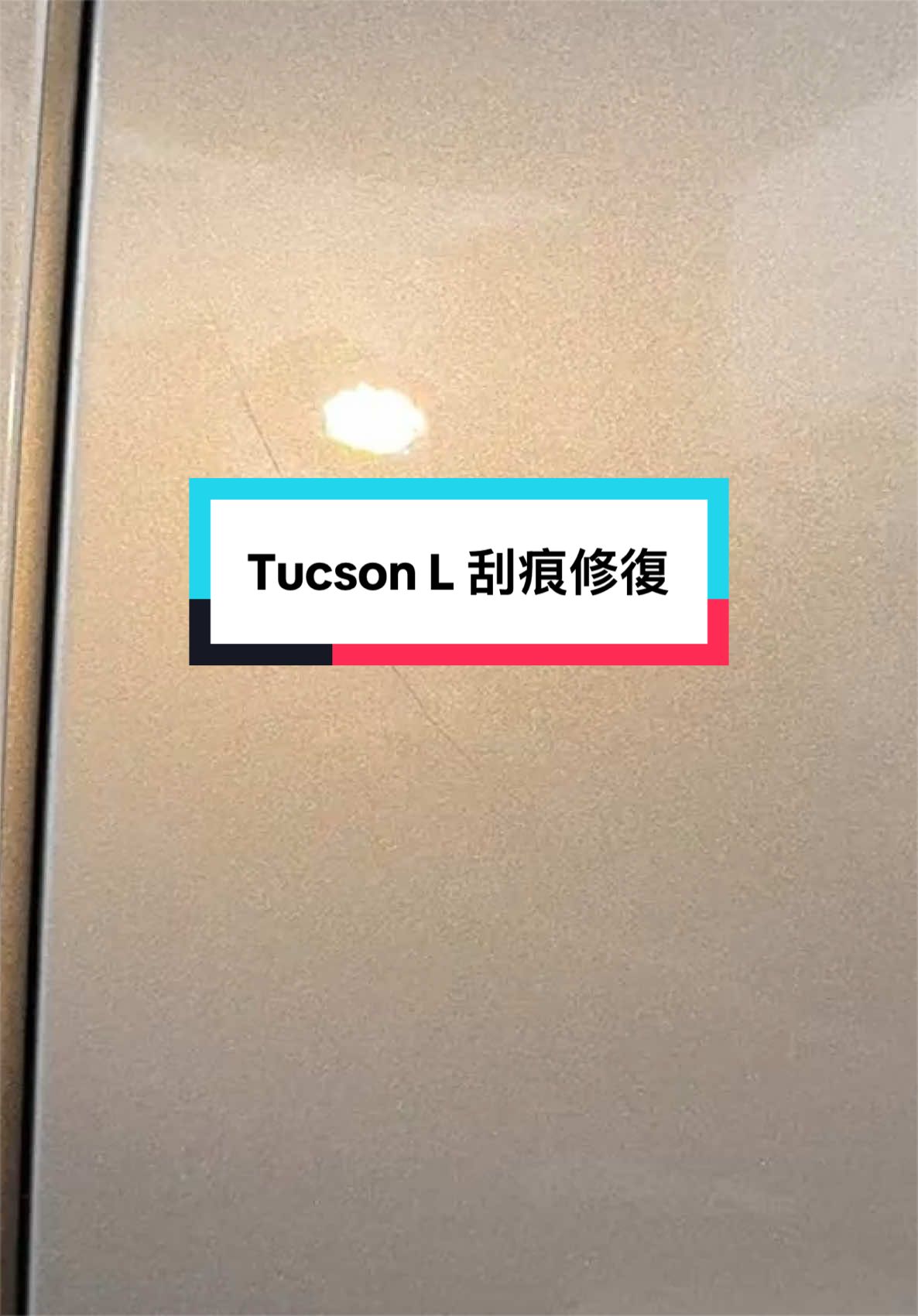 @邦尼洗車
