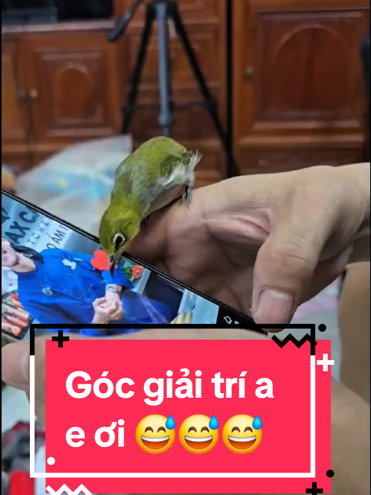 @Docau Hienminh