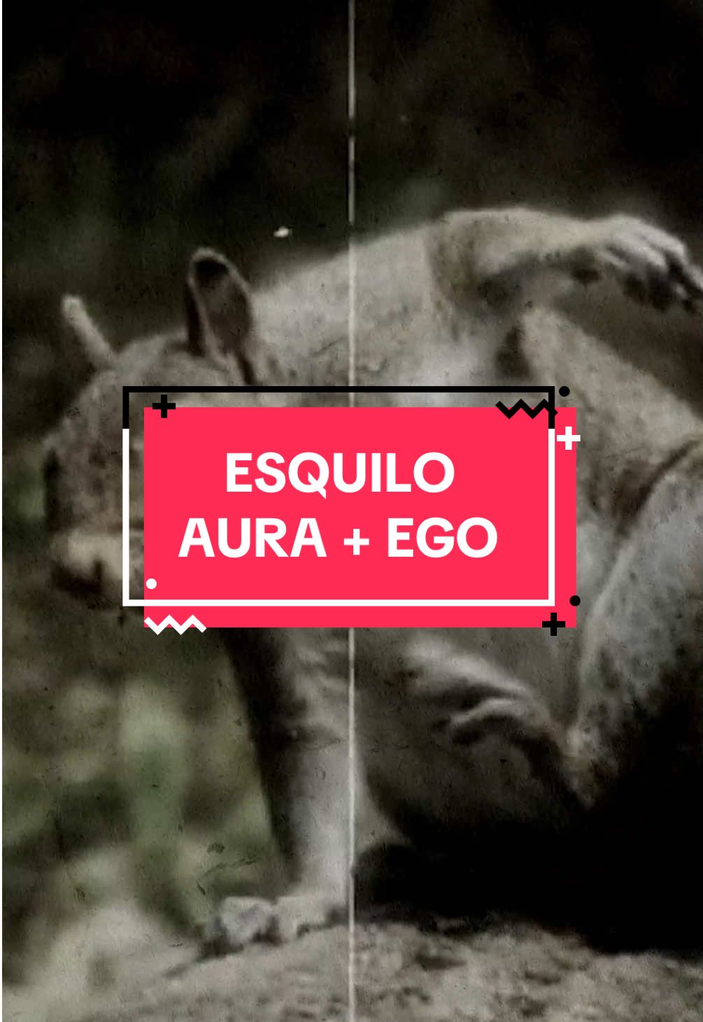 @Tio Sun