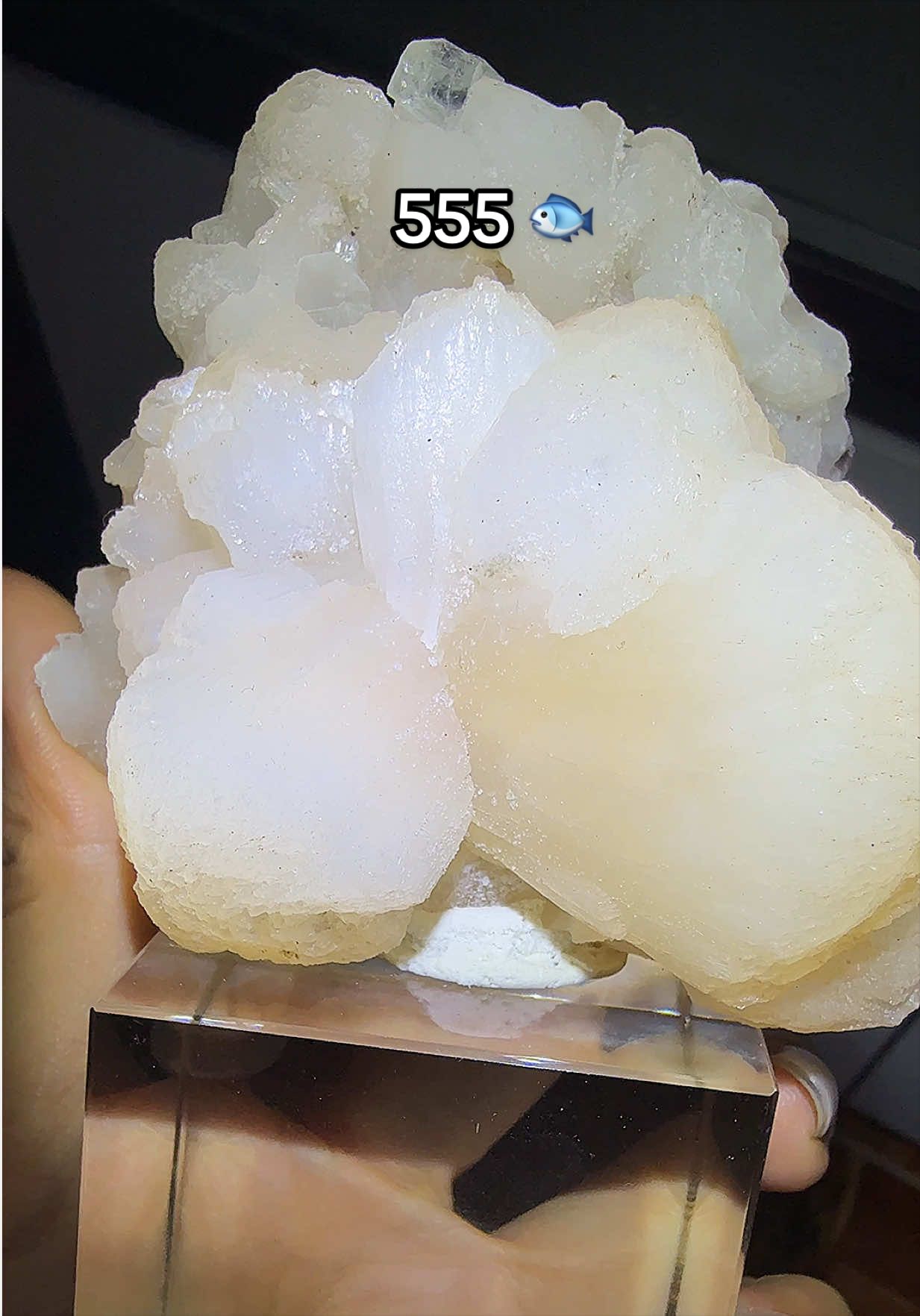 @Halen Crystal