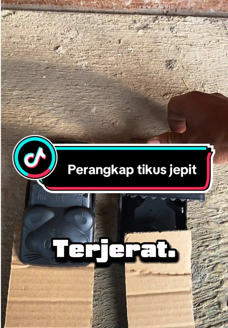 @selection_store