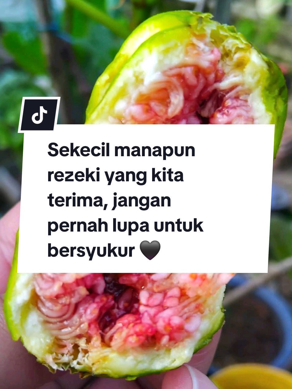 @Hayati Mummiey