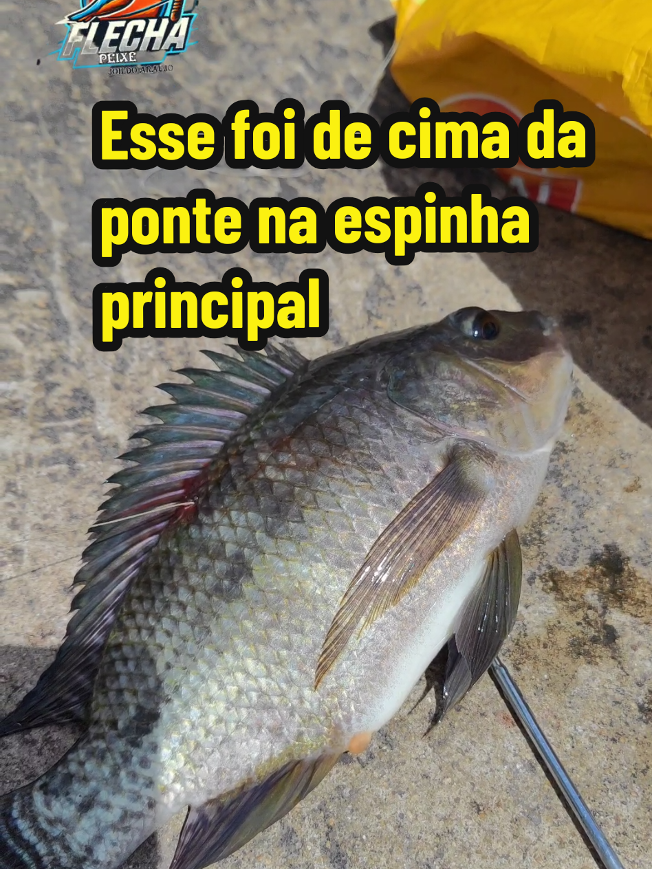 @Joildo Araujo