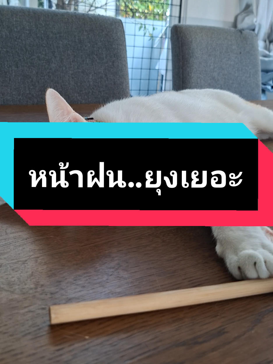 @ฮโหล....สมอง