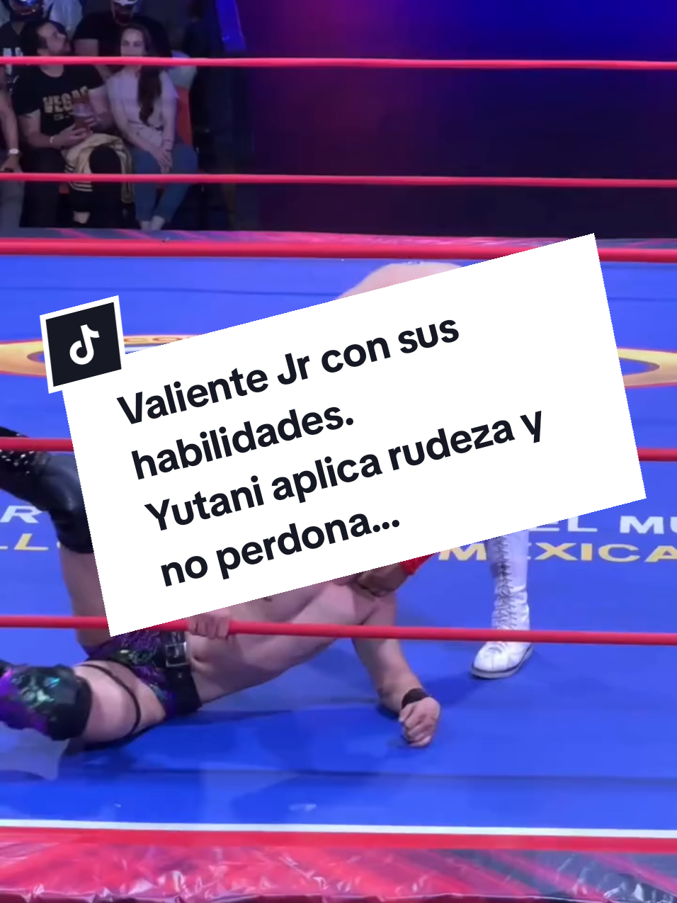 @Damas&Gladiadores Lucha Libre