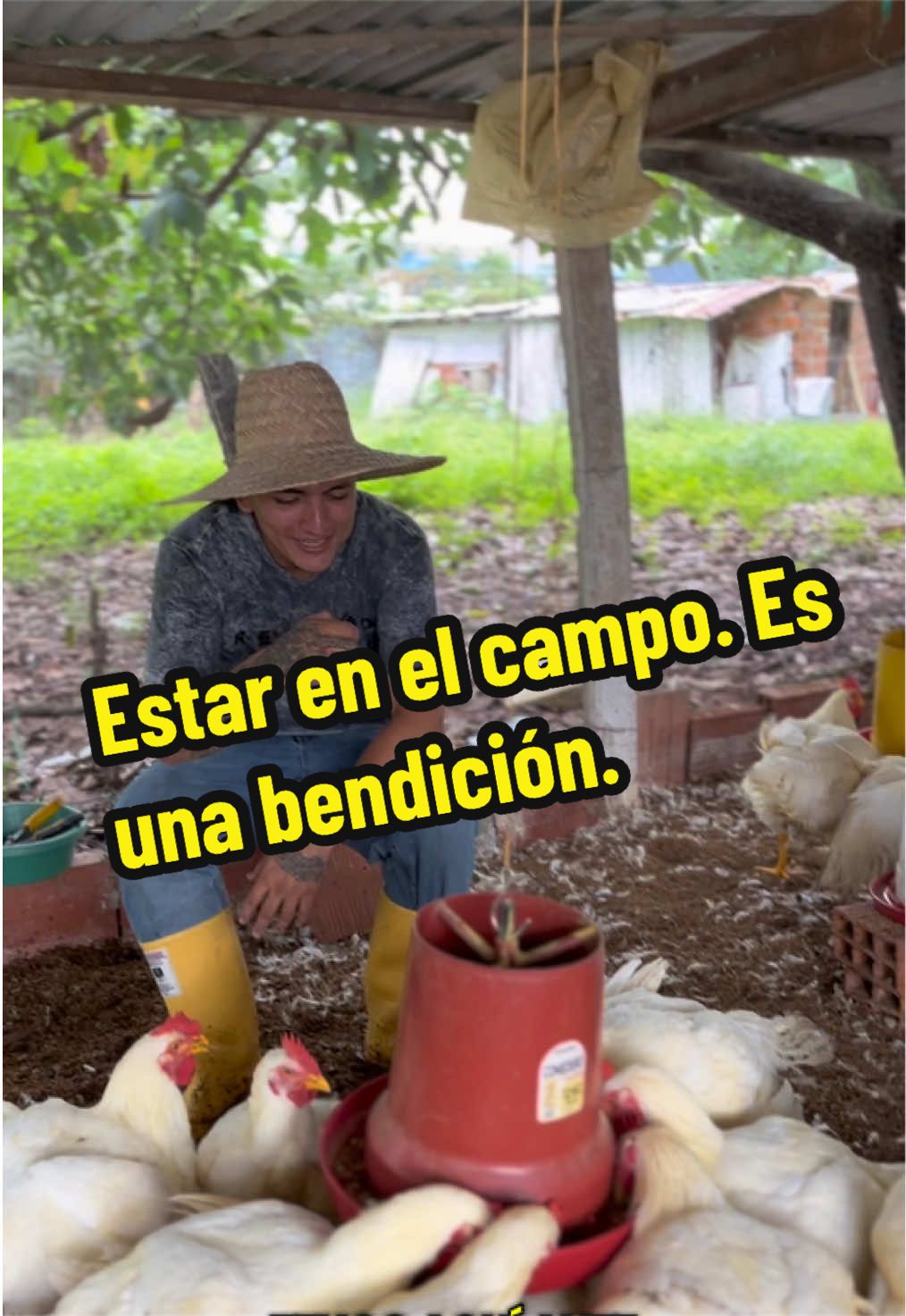 @elmagnatedelospollos