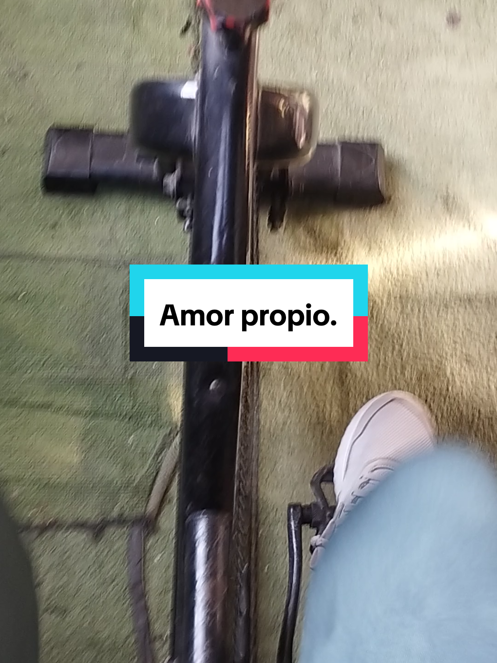@Quitú333
