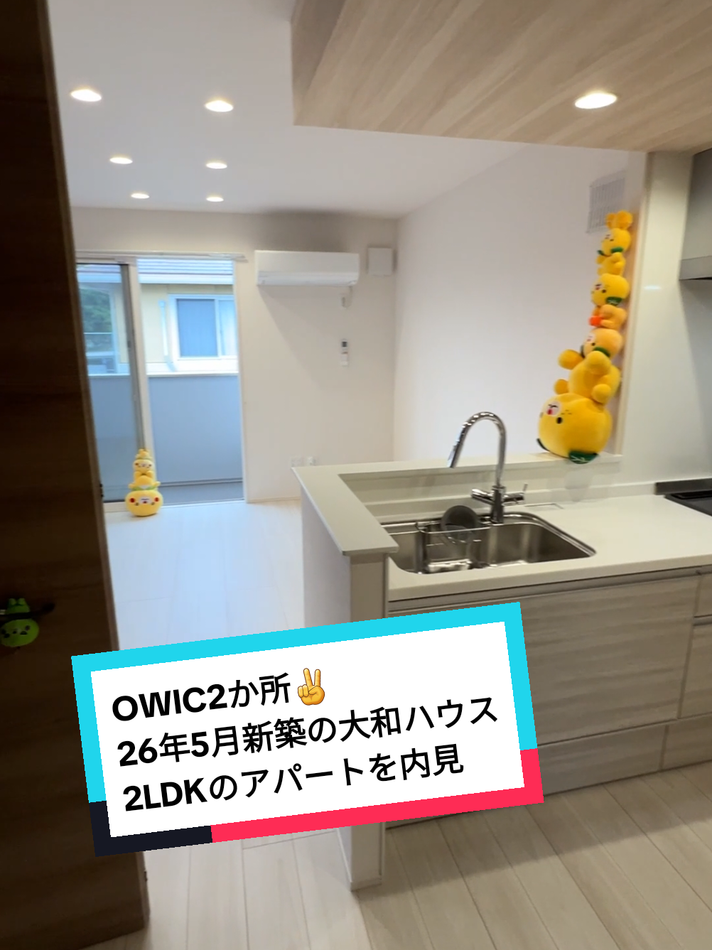 @賃貸ルームツアー♪松山市と今治市みかん不動産