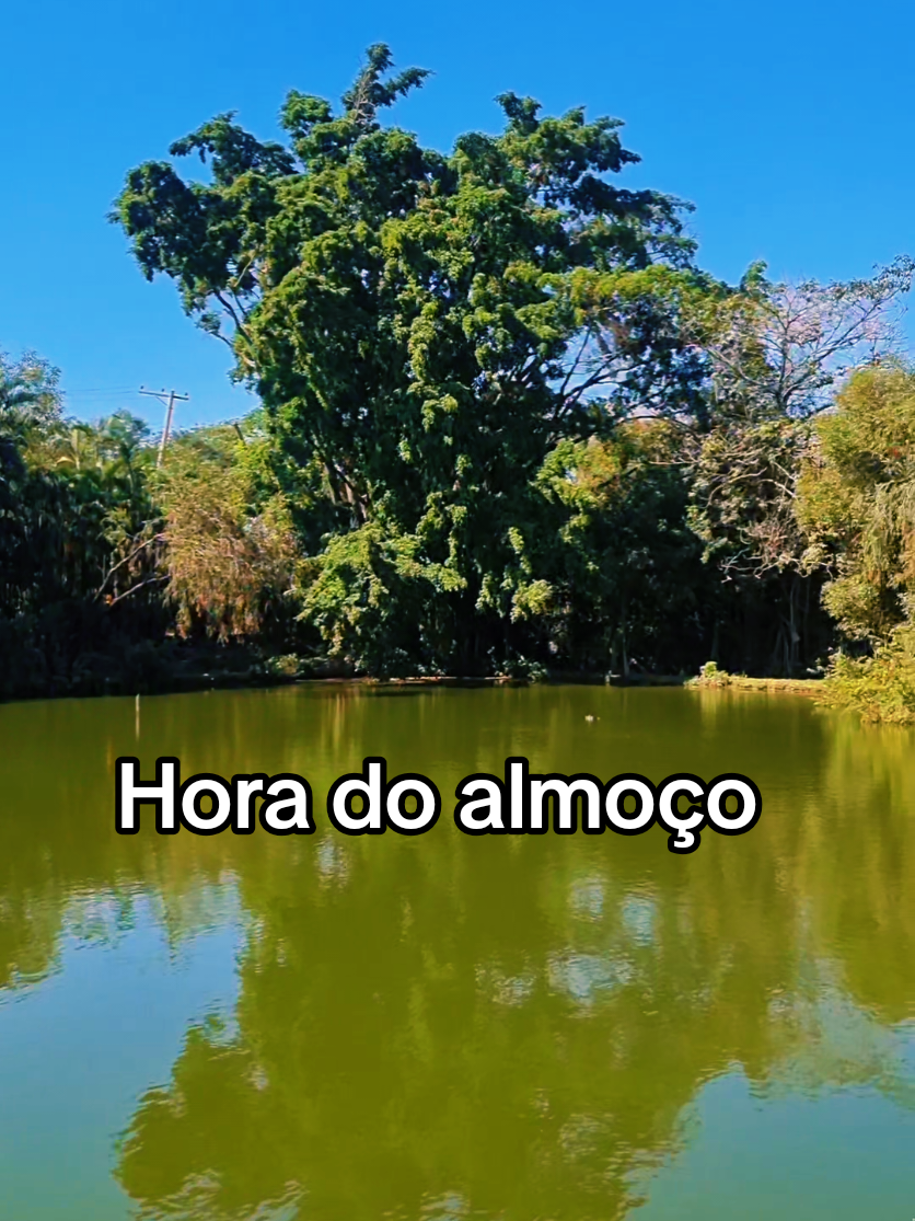 @Milton e Nalu