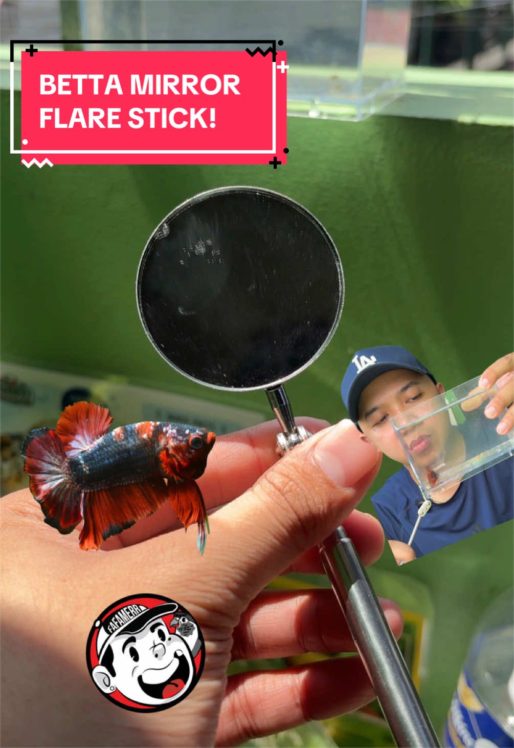 @FAFAMERR