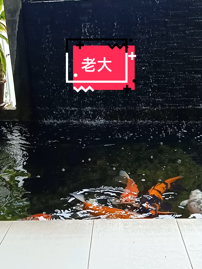 @เฮียชาติขายทุกอย่าง