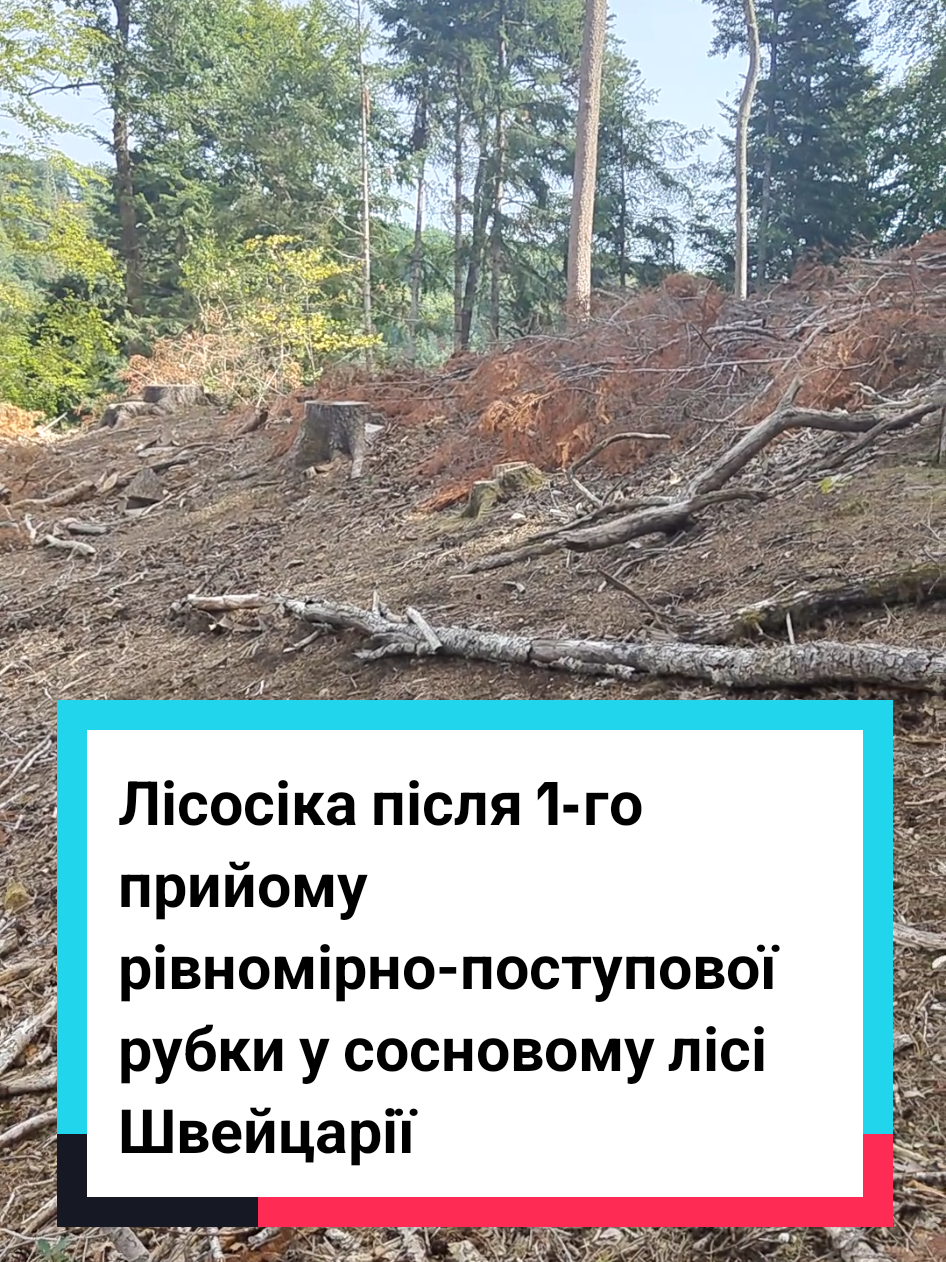 @Юрій Сірук