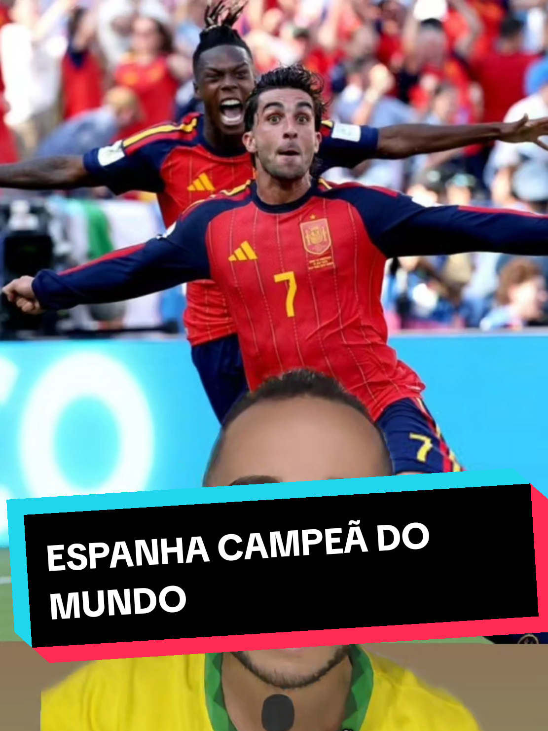 @analistaleigo