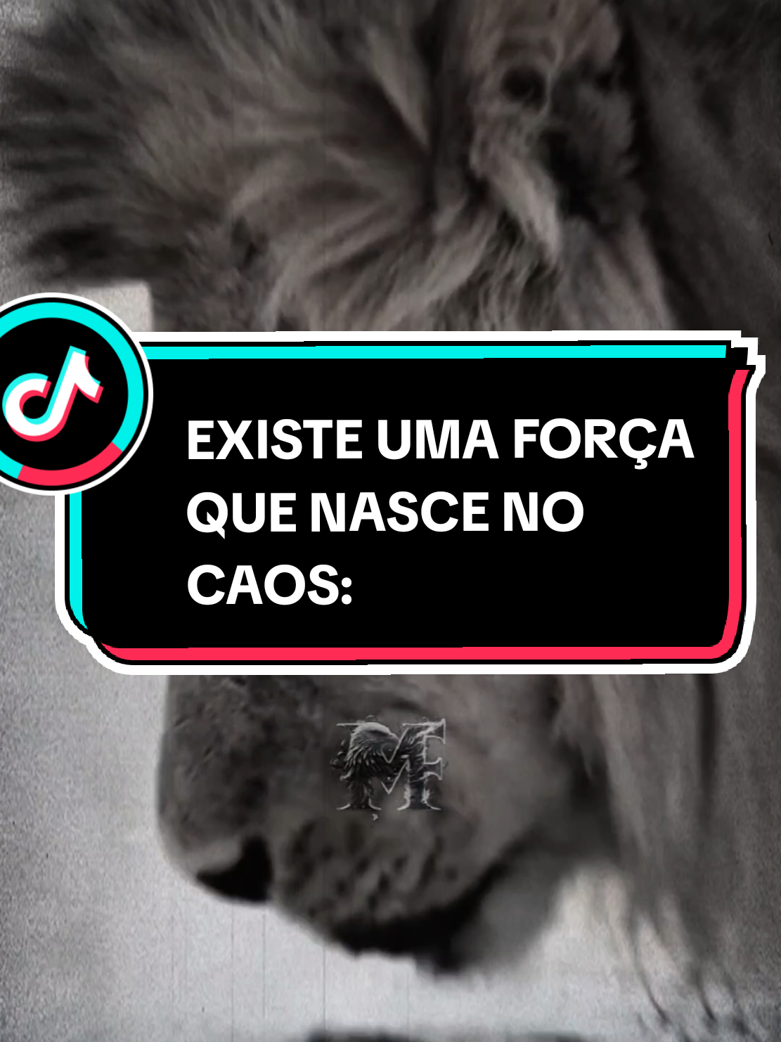 @Massa_FrasesOfc