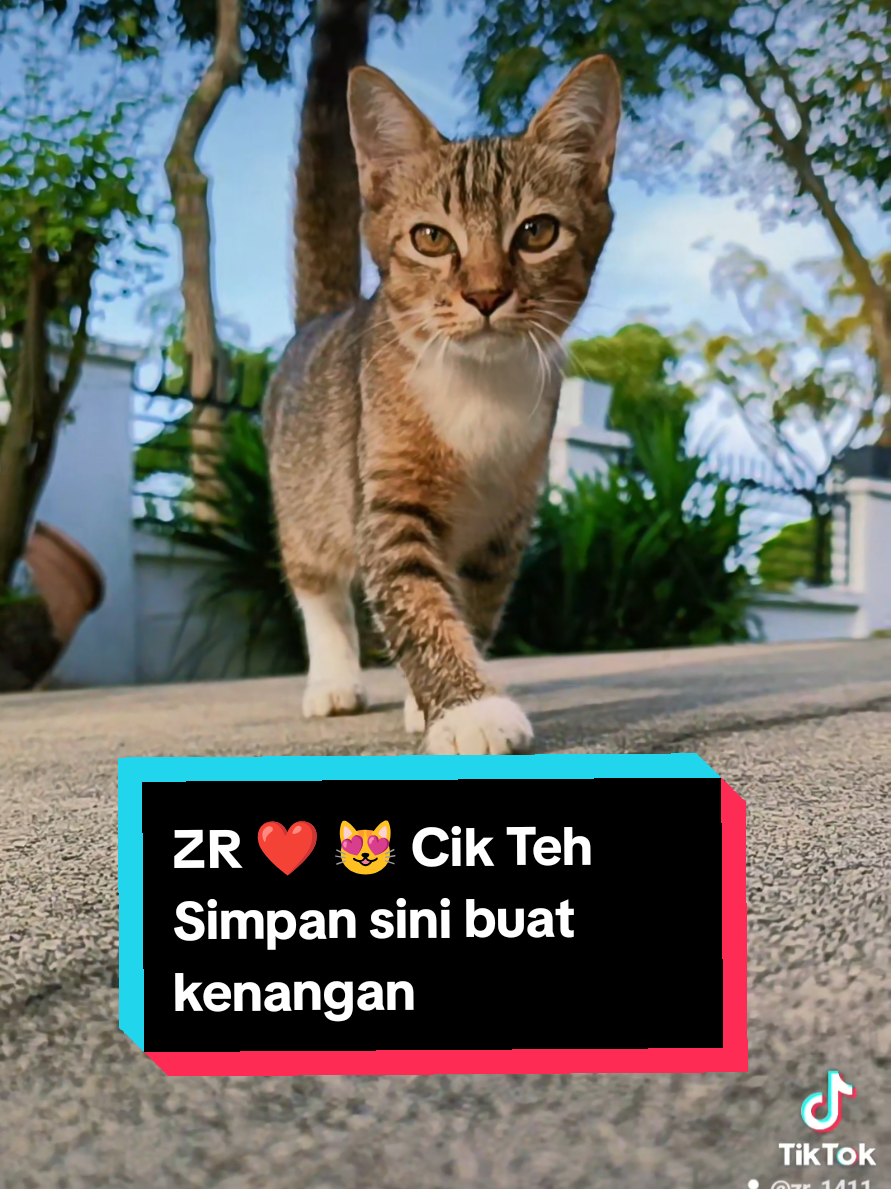 @ZR ๐ฒ๐พ