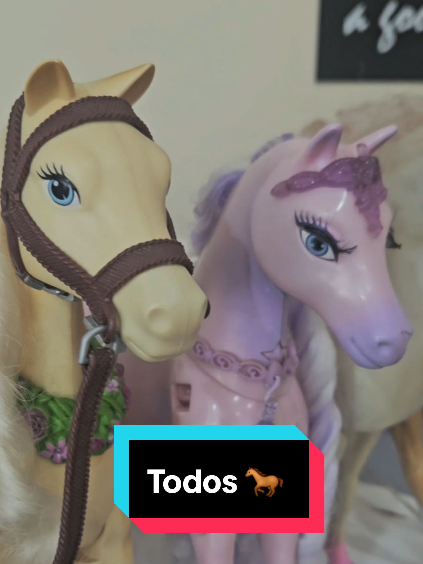@Aquela da Cole&ccedil;&atilde;o