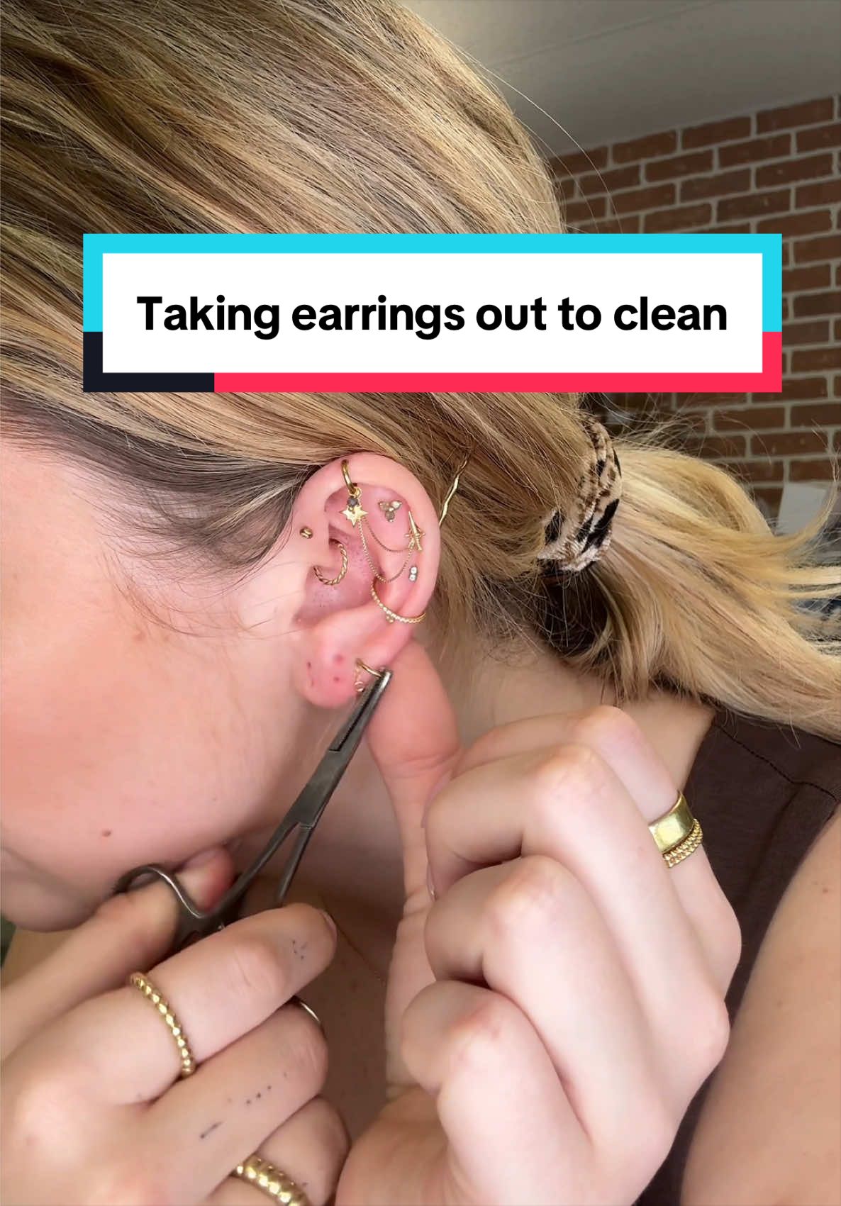 @The Curated Lobe