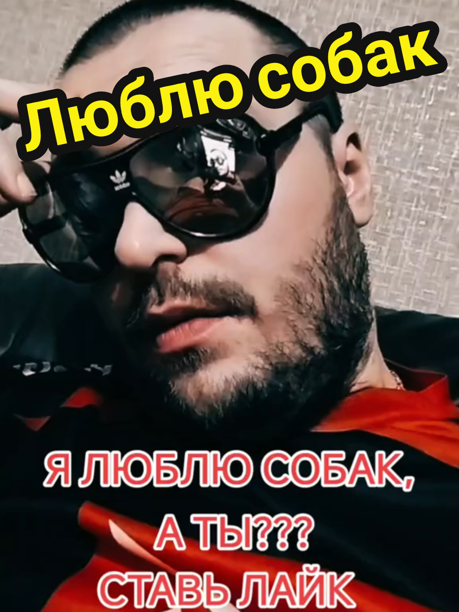 @Mister._Pit