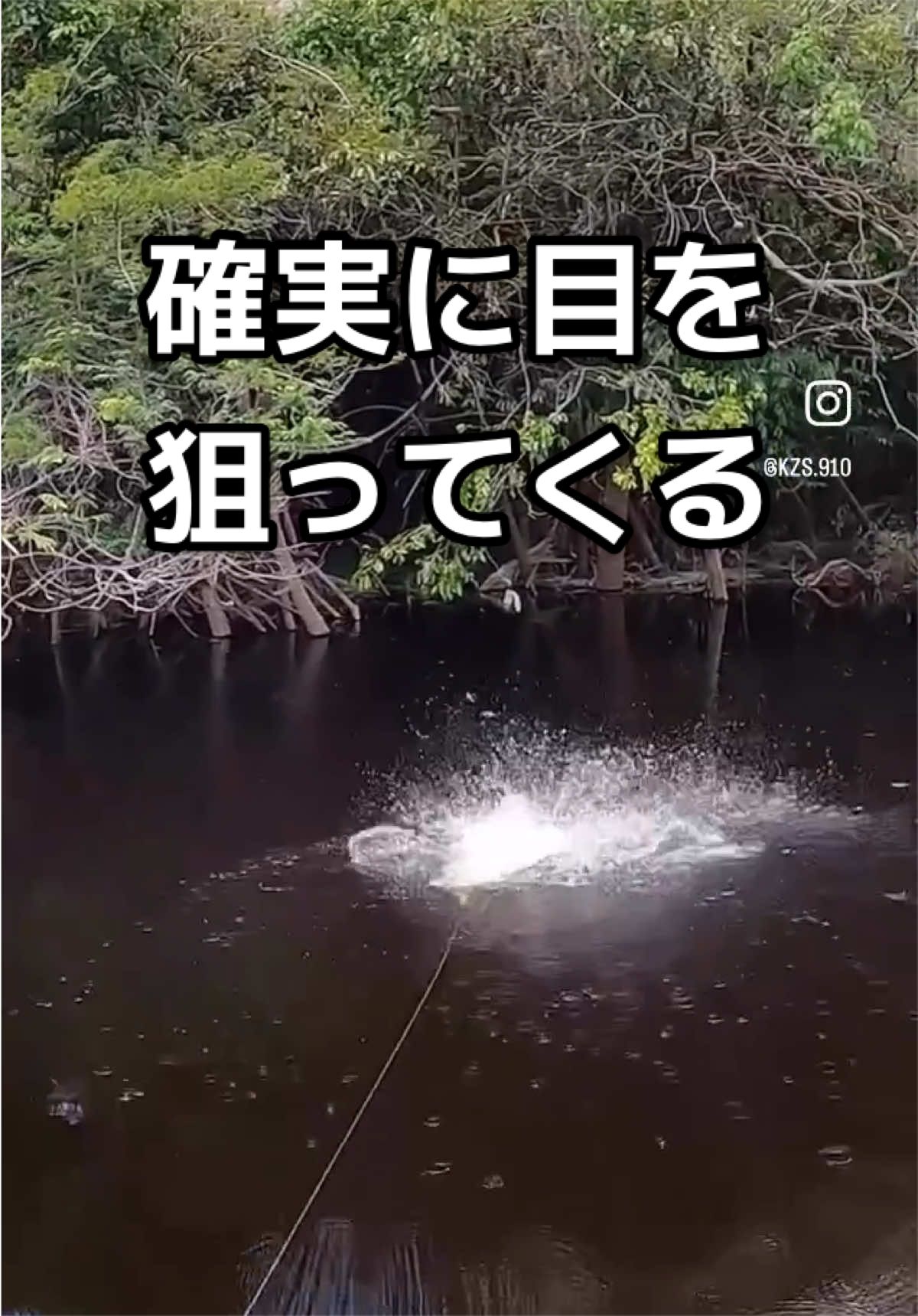 @エルドラド