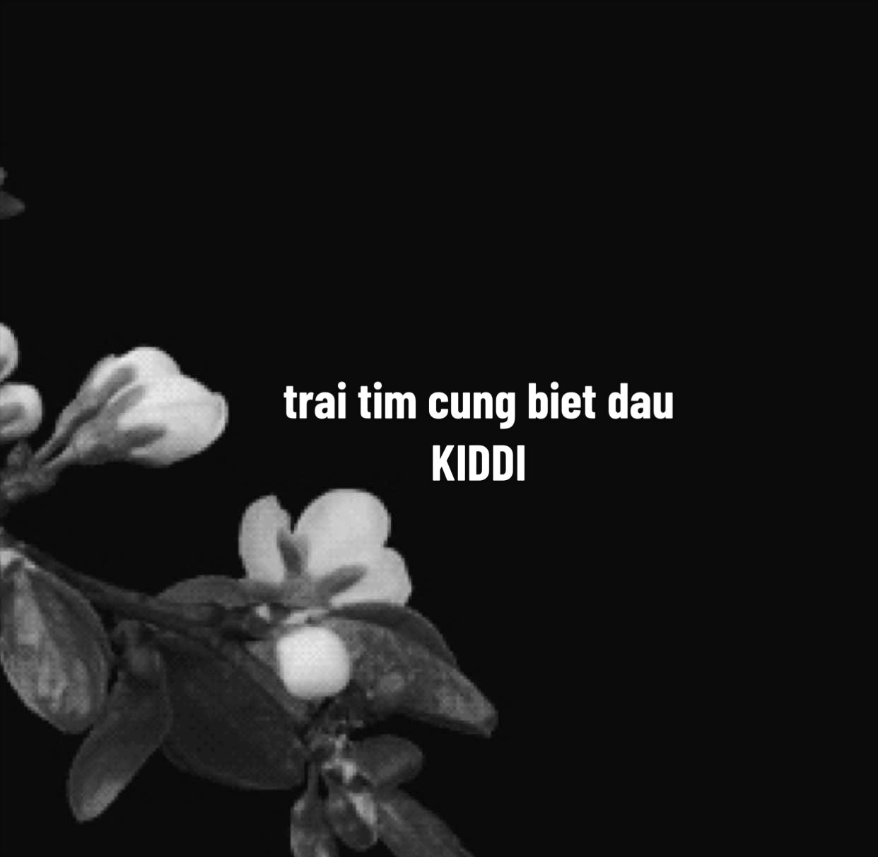 @vũ đinh trọng đắng