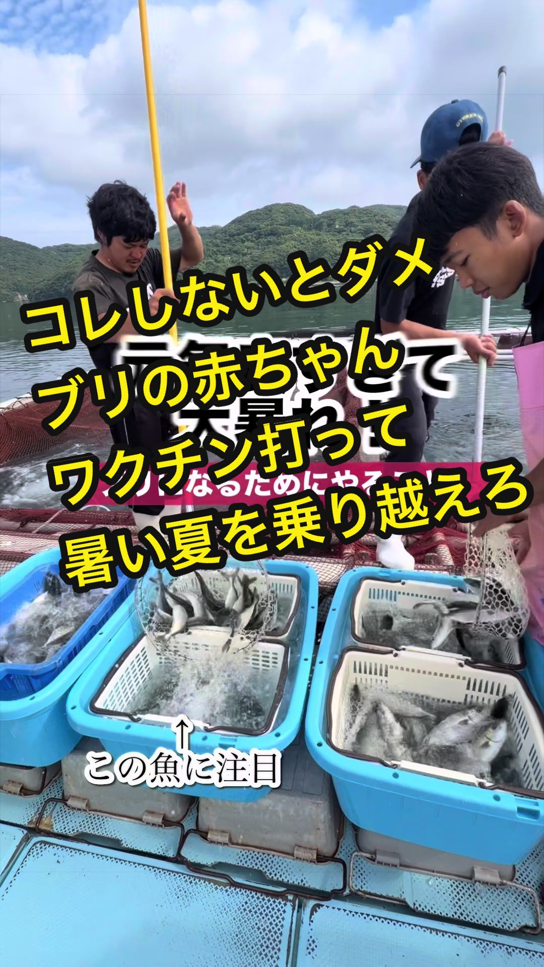 @長崎のイケメン漁師@坂野水産