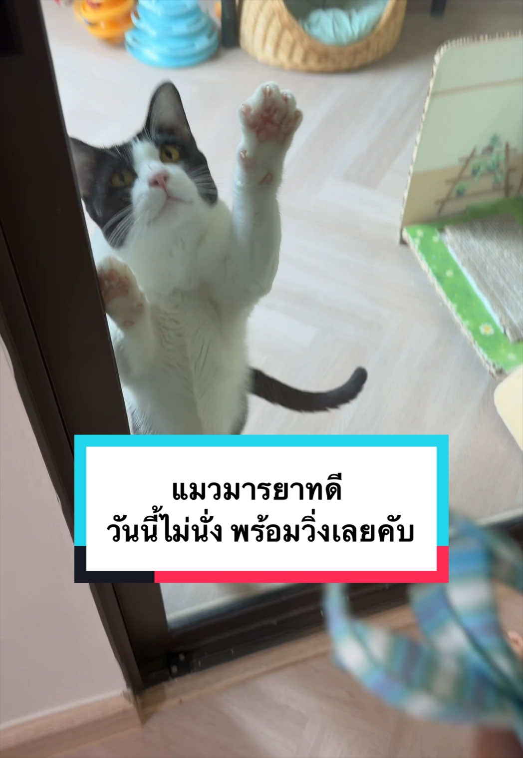 @คิมบับครับผม